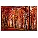 The Red Way by Philippe Sainte-Laudy, 30x47-Inch Canvas Wall Art