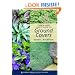 Timber Press Pocket Guide to Ground Covers (Timber Press Pocket Guides)