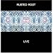 Rusted Root Live