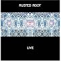 Rusted Root Live
