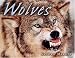 Wolves (Animal Predators)