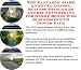 Search : The Fantastic Make An Extra Income, Success Principles and Biz Networking for Stomp Boxes Web Businesses 3 CD Power Pack