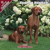 2009 Rhodesian Ridgeback Wall Calendar
