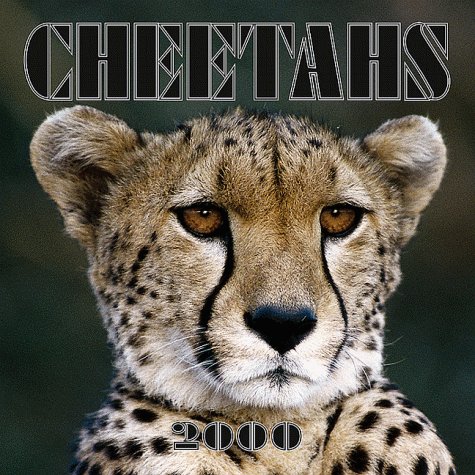 Cheetahs