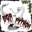 Boa Vs Python