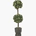 Do it Best Imports TYE-T-500PT/100CL Tyler Topiary Tree