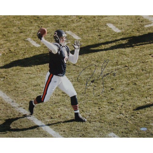 Steiner Sports NFL Chicago Bears Rex Grossman Overhead Blue Jersey 16x20