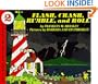Flash, Crash, Rumble, and Roll (Lets Read and Find Out)