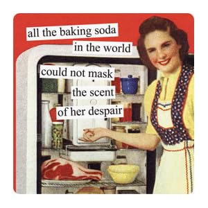 Magnet that says All the baking soda in the world could not mask the scent of her dispair
