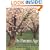 As Parents Age: A Psychological and Practical Guide