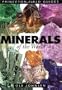 Minerals of the World (Princeton Field Guides)
