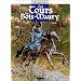 Les Tours de Bois-Maury, tome 10 : Olivier