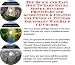 The Quick and Easy How To Earn Extra Money, Success Principles and Accounting & Finance for Physical Fitness Equipment Web Biz 3 CD Course