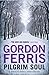 Pilgrim Soul (3) (Douglas Brodie series)