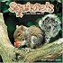 Squirrels 2007 Wall Calendar