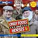 'Only Fools and Horses': v. 4 (Radio Collection)
