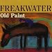 Old Paint