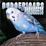 Budgerigars and Parakeets 2002 Wall Calendar