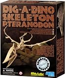 4M KidzLabs DIG-A-DINO SKELETON ��εȯ�� �ץƥ�Υɥ�