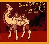 Electric Oasis: Exotic Arabian Grooves