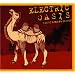 Electric Oasis: Exotic Arabian Grooves