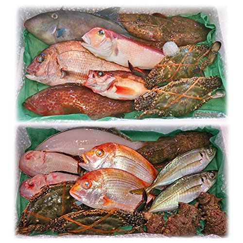 魚水島 「厳選」日本海の鮮魚セット 海におまかせ・大漁箱