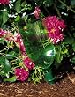 Green AquaCone®, Set of 6