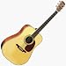 AD60S Acoustic Guitar