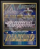2001 Arizona Diamonbacks Major League Baseball World Series Championship 13x16 Plaque