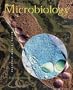 Microbiology (4th ed)