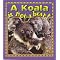 Koala Bears 101