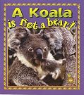 A Koala Is...