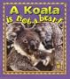 A Koala Is Not a Bear! (Crabapples)