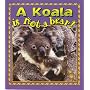 A Koala Is Not a Bear! (Crabapples)