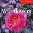 Audubon Wildflowers Calendar 2010