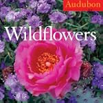 Audubon Wildflowers Calendar 2010