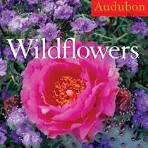 Audubon Wildflowers Calendar 2010
