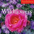 Audubon Wildflowers Calendar 2010 by CC National Audubon Society