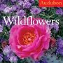 Audubon Wildflowers Calendar 2010