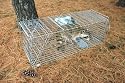 Silver / Zinc Live Animal Pet Traps / Cages by Pet Trex