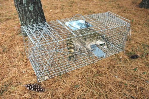 Silver / Zinc Live Animal Pet Traps / Cages by Pet Trex