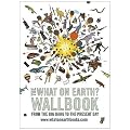 The What on Earth? Wallbook: A Timeline from the Big Bang to the Present Day