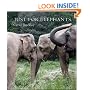 Just for Elephants