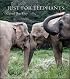 Just for Elephants