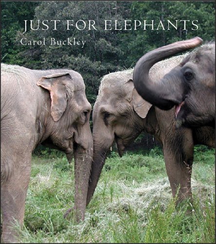 Elephants