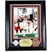 Bears Highland Mint Game Used Jersey Photomint