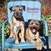 Border Terriers Calendar 2007