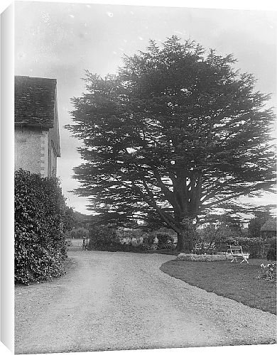 Canvas Prints of Brinsop Court from Country Life 