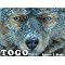 Children Learn about The Iditarod