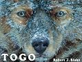 Togo Togo